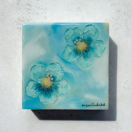 メディアディア49 