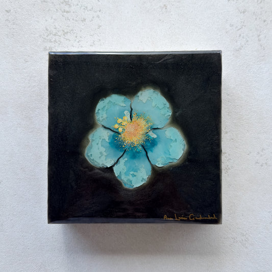 プナルウビーチの希望 5 