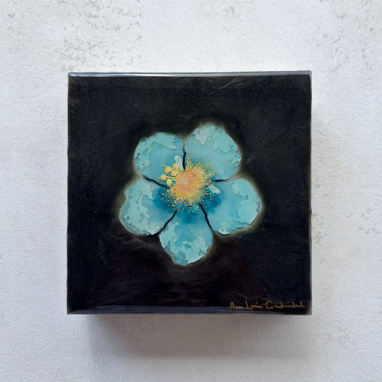 Hope at Punaluʻu Beach 5