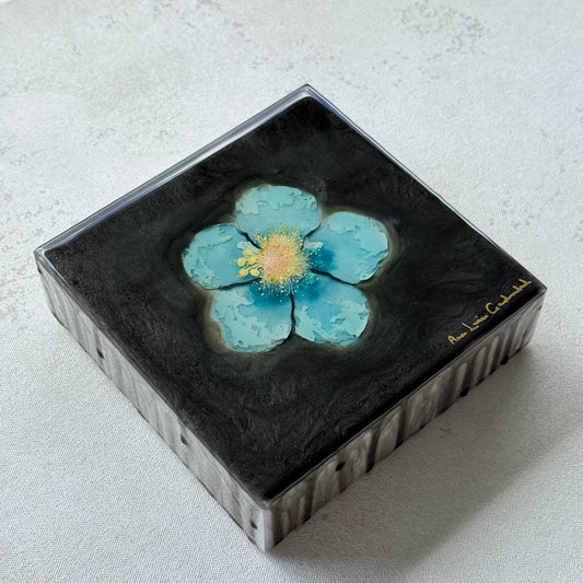 プナルウビーチの希望 5 